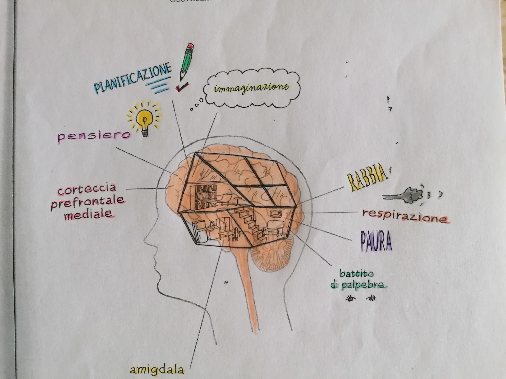 Un cervello a tre piani